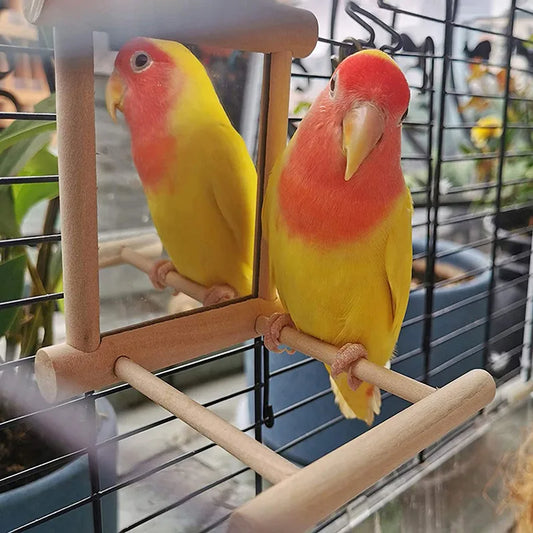 Parrot Mirror Stand