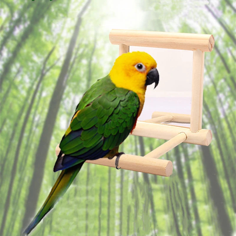 Parrot Mirror Stand